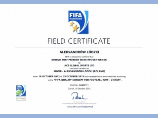 FIFA_2STAR_Aleksandrow_Lodzki_489354